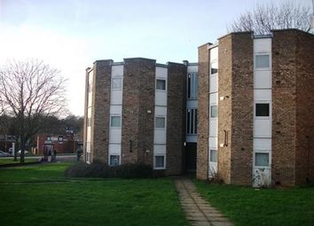 Thumbnail Flat to rent in Ellfield Court, Abington, Northampton