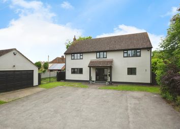 Thumbnail Detached house for sale in The Street, Pebmarsh, Halstead