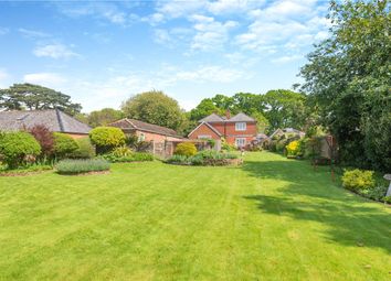 Thumbnail Detached house for sale in Winchester Road, Botley, Hampshire