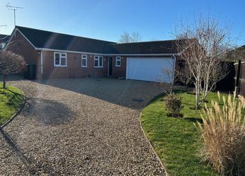 Thumbnail Detached bungalow for sale in Yew Tree Close, Bourne