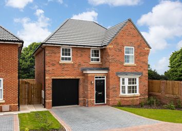 Thumbnail 4 bedroom detached house for sale in "Millford" at Clayson Road, Overstone, Northampton
