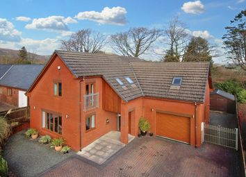 Thumbnail Detached house for sale in Tai Cae Mawr, Llanwrtyd Wells
