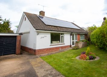 Thumbnail Bungalow for sale in Oak Close, Ottery St. Mary