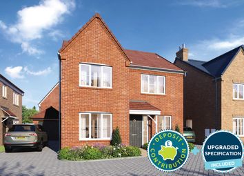 Thumbnail Detached house for sale in "The Juniper" at Burdock Street, Corby
