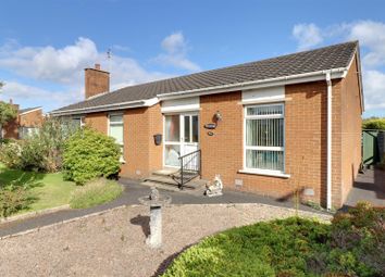 Thumbnail 3 bed bungalow for sale in Merridale Drive, Bangor