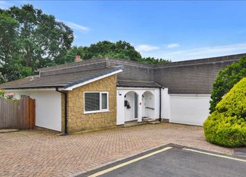 Thumbnail Detached bungalow for sale in Balmoral Road, Chorley