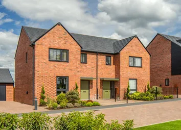 Dandara - Zoopla -