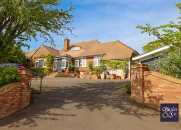 Thumbnail Detached bungalow for sale in St. Helens Down, Hastings