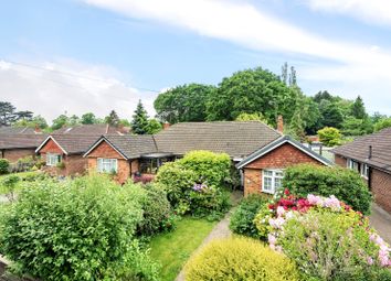 Thumbnail 2 bed bungalow for sale in Egley Drive, Woking