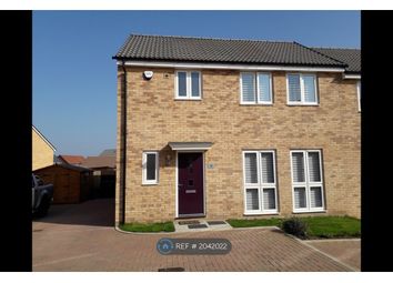 Thumbnail Semi-detached house to rent in Meerkat Mews, Stanway, Colchester