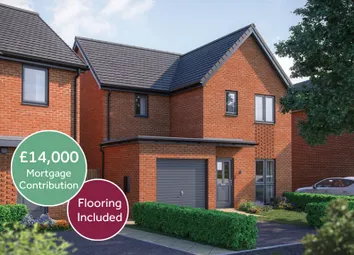 Pleasley View Plot 141