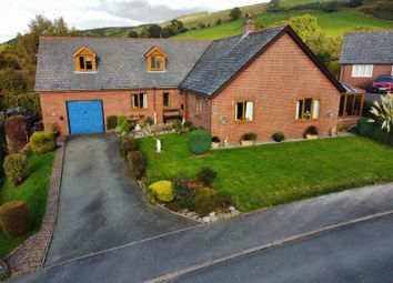 Thumbnail 4 bed detached house for sale in Rhosymaen Uchaf, Llanidloes, Powys