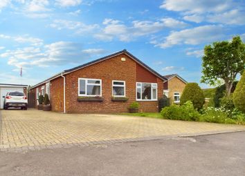 Thumbnail Bungalow for sale in Corinium Road, Ross-On-Wye, Herefordshire