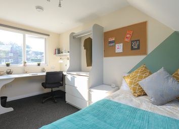 A Bright, Well-Maintained Bedroom Featuring A Doub...