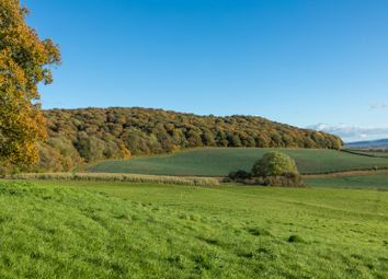 Thumbnail Land for sale in Brinsop, Hereford, Herefordshire