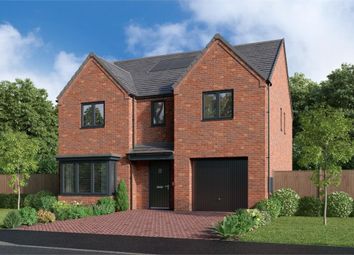 Thumbnail 4 bedroom detached house for sale in "The Denwood" at Cold Hesledon, Seaham