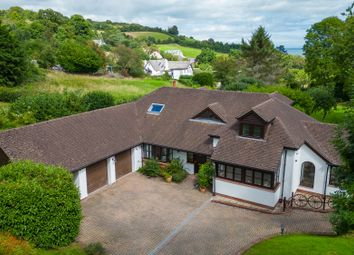 Thumbnail Detached house for sale in Brim Hill, Torquay