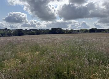 Land At Castle Meadow 1.Jpg
