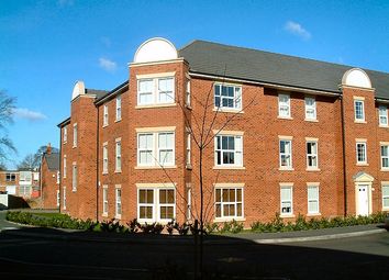 0 Bedroom  for rent