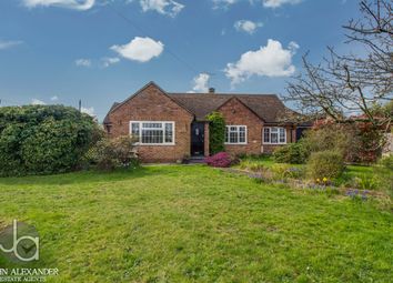 Thumbnail Detached bungalow for sale in Spring Road, Tiptree, Colchester