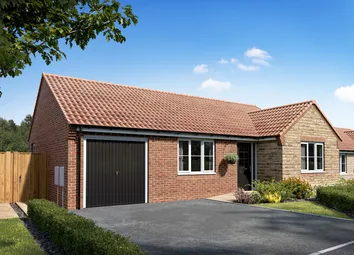 Laburnum-External