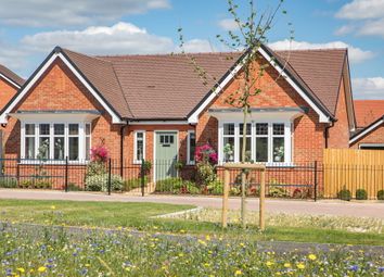Thumbnail Bungalow for sale in "The Bircham" at School Road, Elmswell, Bury St. Edmunds