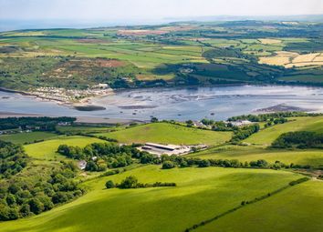 Thumbnail Farm for sale in St Dogmaels, Cardigan