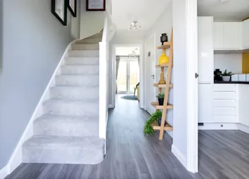 The Andrew Has A Bright Hallway