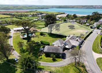 Cockmoyle