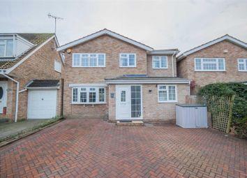 Thumbnail 4 bed detached house for sale in Leybourne Drive, Springfield, Chelmsford