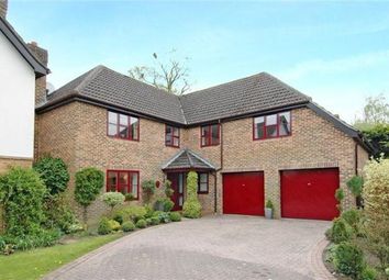 Thumbnail Property to rent in Cranbourne Drive, Otterbourne, Winchester