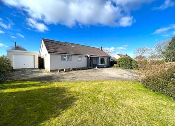 Thumbnail 4 bed bungalow for sale in Rhos Helyg, Pant-Y-Crug, Capel Seion, Aberystwyth