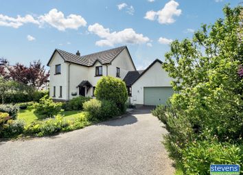 Thumbnail 4 bed detached house for sale in East Street, Sheepwash, Beaworthy, Devon