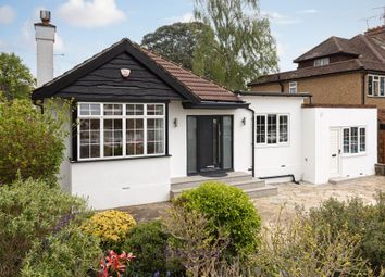 Thumbnail Bungalow to rent in Chestnut Avenue, Epsom