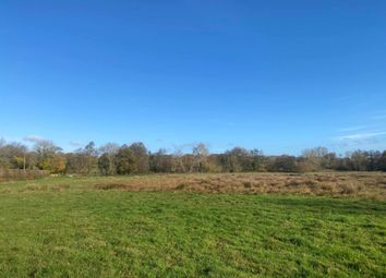 Thumbnail Land for sale in Newick Lane, Mayfield