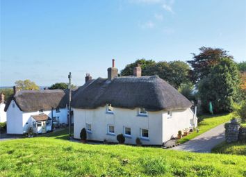 Thumbnail 3 bed cottage for sale in The Square, Petrockstow, Okehampton