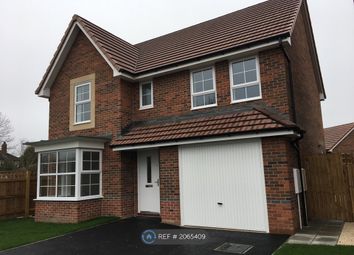 Thumbnail Detached house to rent in Rovers Way, Doncaster