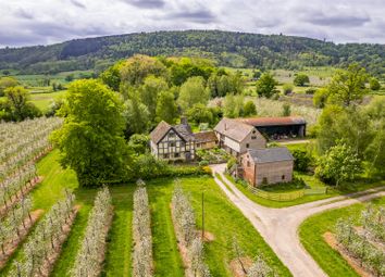 Dji_0245-2.Jpg