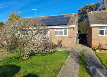 Thumbnail Semi-detached bungalow for sale in Ivy Close, Westergate, Chichester