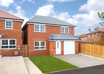 Thumbnail 4 bedroom detached house for sale in "Kennford" at Buttercup Drive, Newcastle Upon Tyne