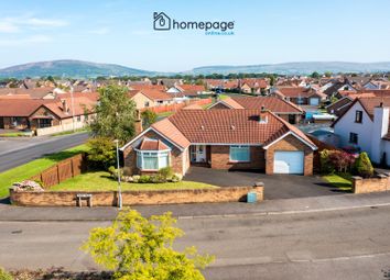 Thumbnail 4 bed detached house for sale in 2 Janes Valley, Limavady