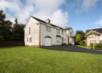 Thumbnail Detached house for sale in Carnglave Manor, Ballynahinch
