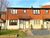 1 bed flat to rent