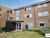 1 bed flat to rent