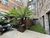 2 bed flat to rent