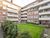 1 bed flat to rent