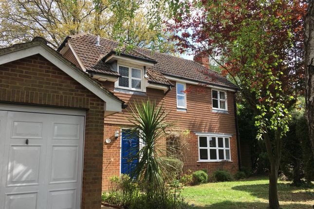 Thumbnail Detached house for sale in College Hill, Godalming