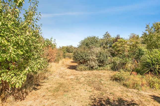 Kingsmans Farm Lodge, Kingsmans Farm Road, Hockley photo 5