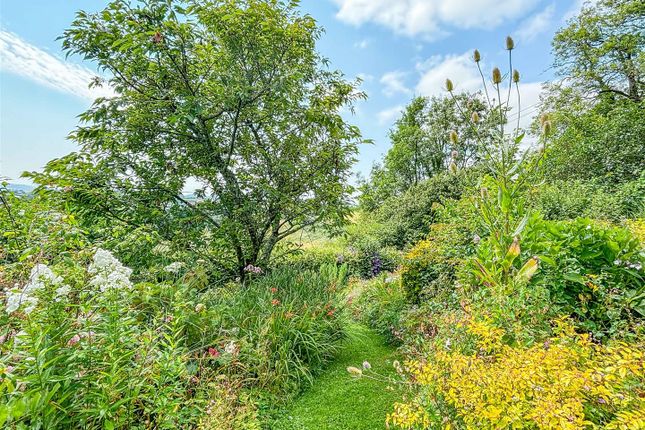 Garden-7.Jpg
