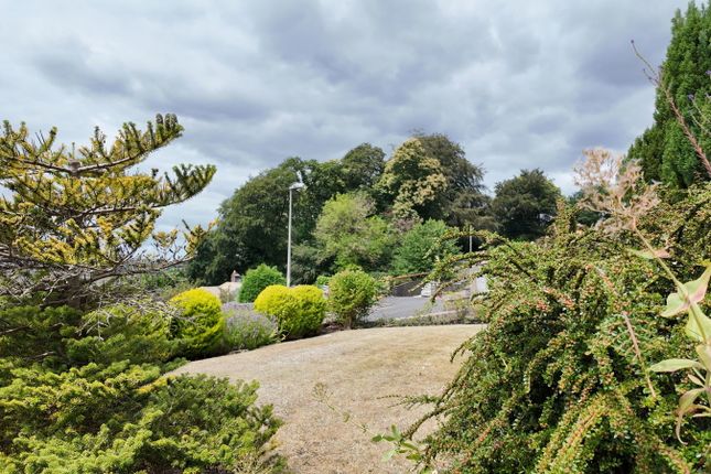 16, Lyndhurst Close, Newton Abbot photo 2